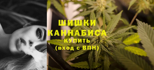 гидра Карпинск