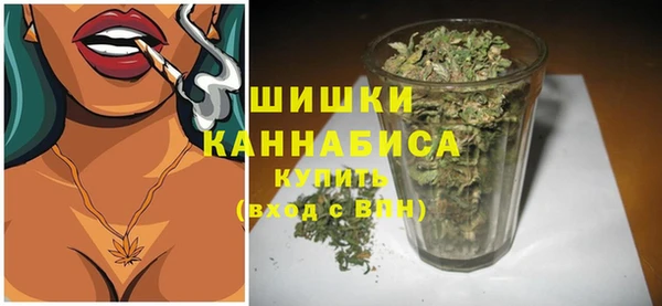 гидра Карпинск
