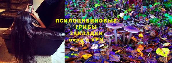гидра Карпинск