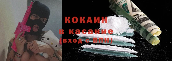 индика Кинешма