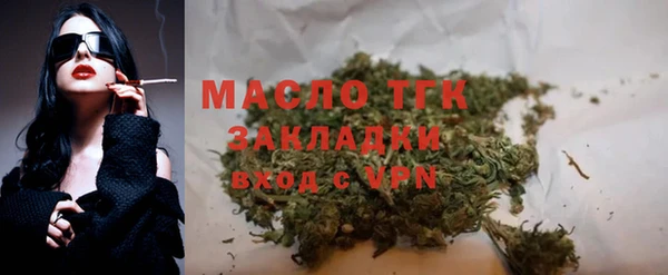 гидра Карпинск