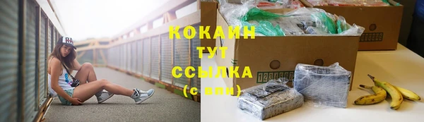 PSILOCYBIN Касимов