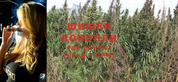 PSILOCYBIN Касимов