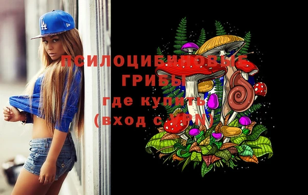индика Кинешма