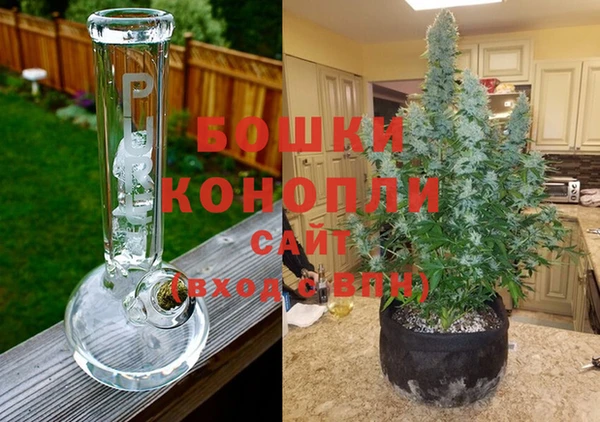 индика Кинешма