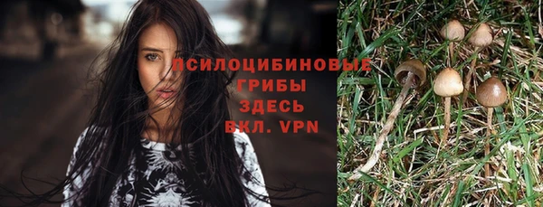 МДПВ Киреевск
