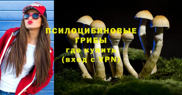 PSILOCYBIN Касимов