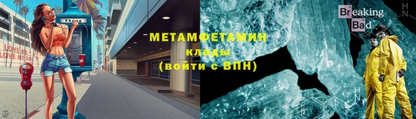 индика Кинешма