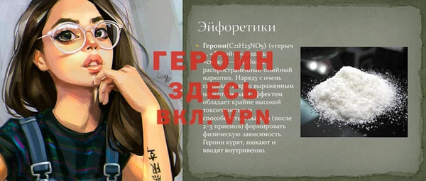 индика Кинешма